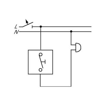 Pulsschakelaar Busch-Jaeger - 2020US - 10A/250V